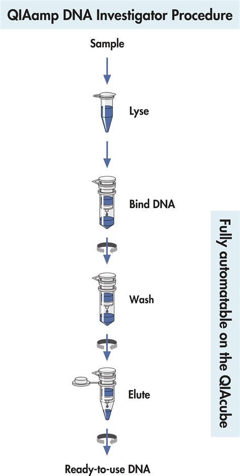 QIAamp DNA Investigator Kit