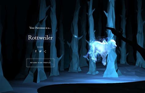 Rottweiler Patronus Pottermore Patronus, Rotweiler, Harry Potter ...