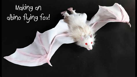 Making an albino Flying Fox! - YouTube