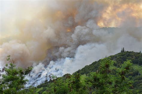 Inside the Inferno: What the Maui Fires Mean for Hawaii—and the World ...