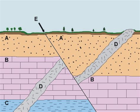 Rock Layers & Fossils Diagram | Quizlet