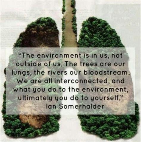 Inspirational Environment Quotes To Create Global Awareness