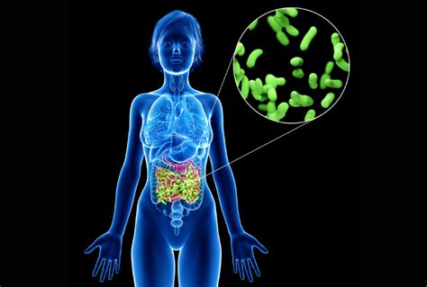 how to improve gut microbiome | Microba