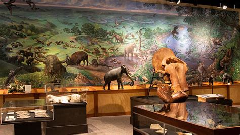 Brazos Valley Museum of Natural History | Bryan, TX | Get Involved