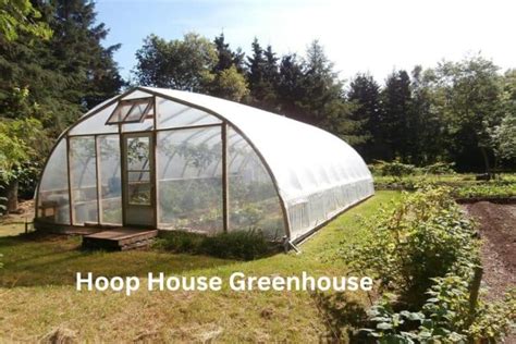 Is a Hoop House Greenhouse as Good as a Greenhouse? – Outdoor Storage ...