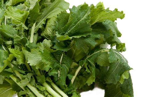 Turnip Greens Benefits, Nutrition Facts, How to Cook, Recipes