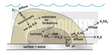 Hydrogen Sulfide treatment- H2S Gas in Wastewater - Aquafix