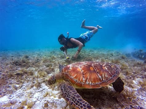 Cabo San Lucas Local Snorkeling Tour | Tours Cabo