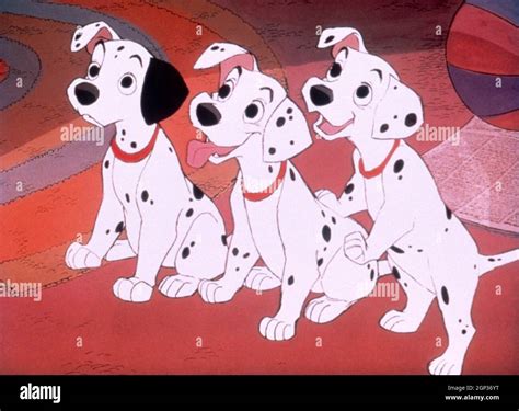 ONE HUNDRED AND ONE DALMATIANS, (aka 101 DALMATIANS), 1961. © Walt ...