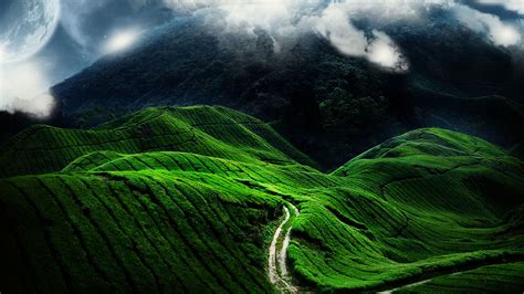 Grass Covered Mountain Road Wallpaper, HD Nature 4K Wallpapers, Images ...