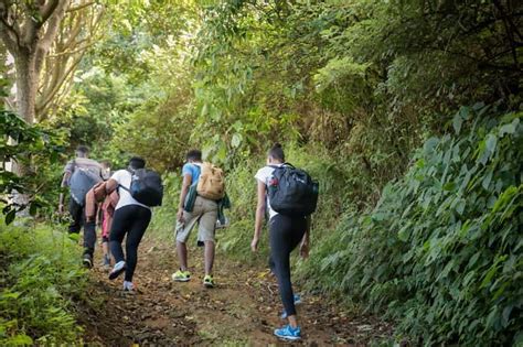 Jamaica: Blue Mountain Peak Hiking Tour | GetYourGuide