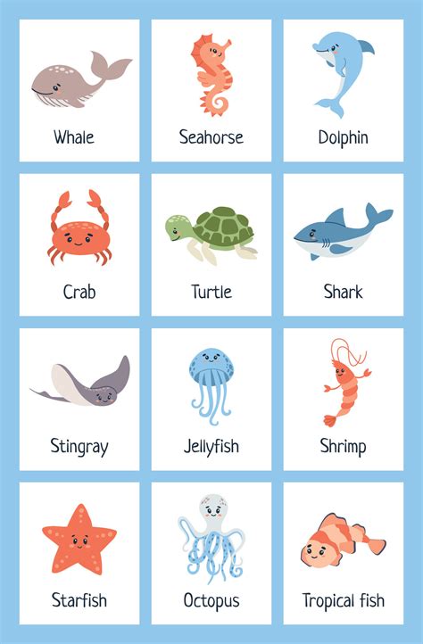 Sea animal flashcards. Learning ocean vocabulary. Sea creatures ...