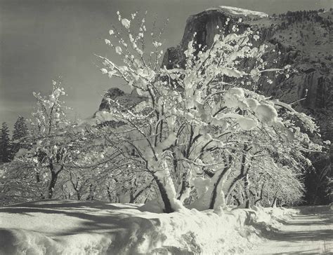 ANSEL ADAMS (1902-1984) , Winter, Yosemite Valley, c. 1932 | Christie's