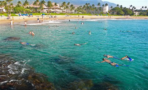 Snorkeling Black Rock On Ka'anapali Beach - See Fish Safely