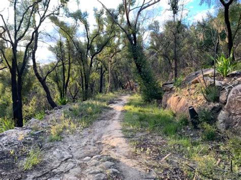 10 Best Hikes and Trails in Dharug National Park | AllTrails