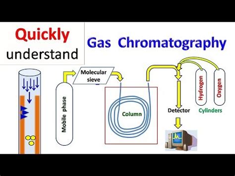 Διαφορά μεταξύ HPLC και GC | Συγκρίνετε τη διαφορά μεταξύ παρόμοιων ...