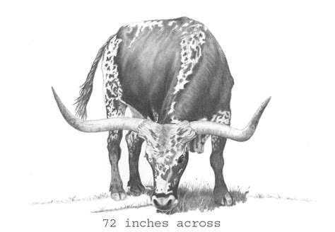 longhorn cattle drawing sketch | Farm animal paintings, Deer drawing ...