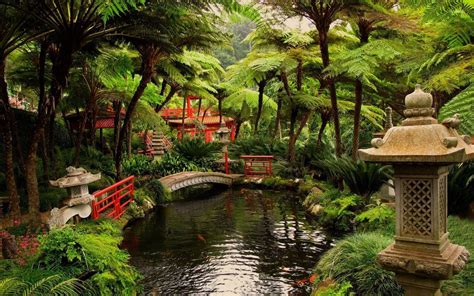 Japan Gardens Wallpapers - Top Free Japan Gardens Backgrounds ...