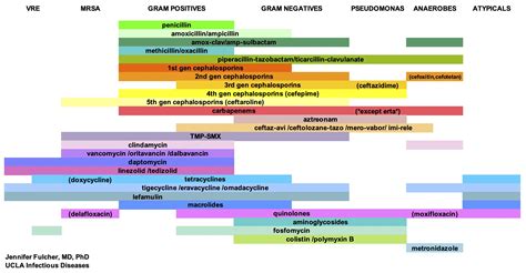 Antibiotic Coverage Diagram