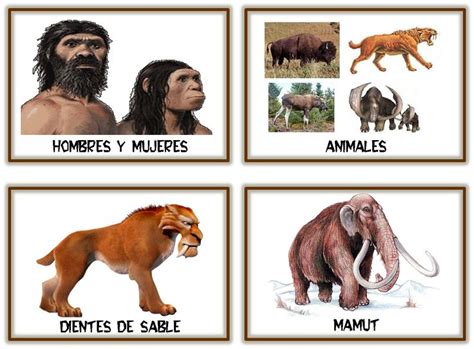 four different types of animals are shown in the picture, and each is ...