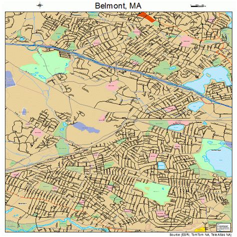 Belmont Massachusetts Street Map 2505105