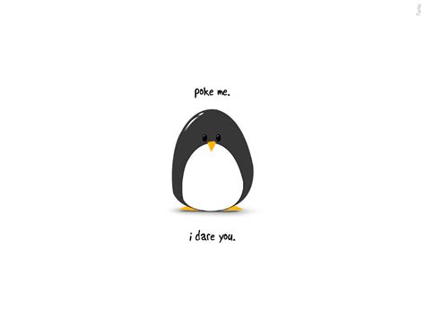 🔥 [48+] Cute Penguin Wallpapers | WallpaperSafari