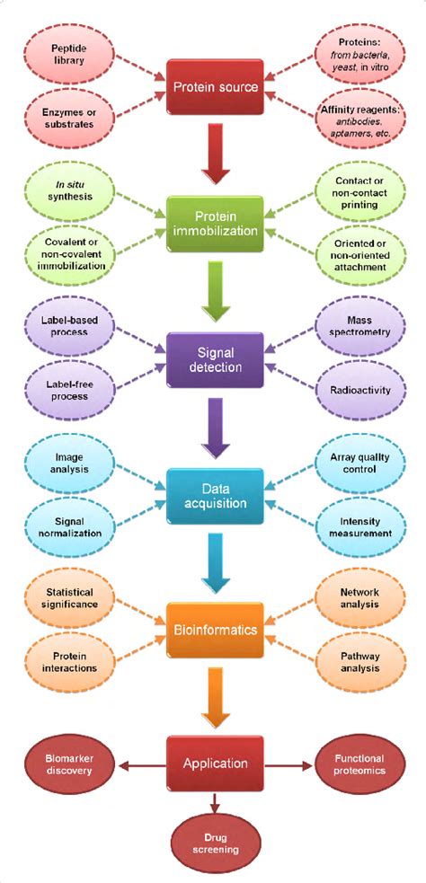 Schematic presentation of the various types of protein array analysis ...