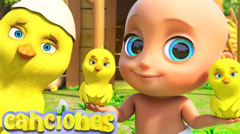 🐤🐥Los Pollitos Dicen Pio Pio - ¡Canciones Infantiles! LooLoo - YouTube