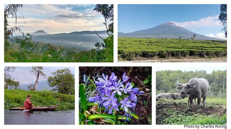 Bird Watching, Wildlife Watching and Sightseeing Tour in Kerinci Seblat ...