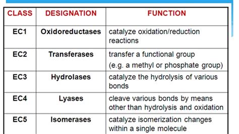 Classification of Enzymes by Dr Jamil Ahmed Siddiqui - YouTube