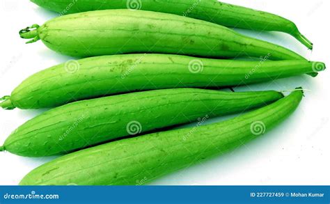 Luffa or Cylindrica Sponge Gourd Tori Fruits Stock Image - Image of ...