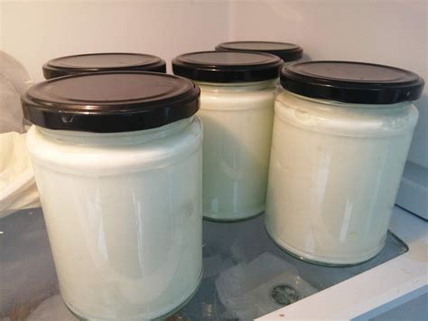 Sheep milk yogurt - ONLY LOCAL DELIVERY OR FARM COLLECTION — Carlow ...