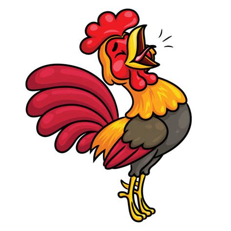 540+ Crowing Rooster Cartoons Stock Photos, Pictures & Royalty-Free ...