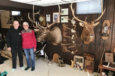 80-year-old Bemidji bow hunter's latest elk fills the freezer again