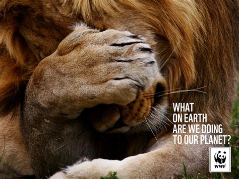 The latest print ad campaign for the WWF (World Wildlife Foundation ...