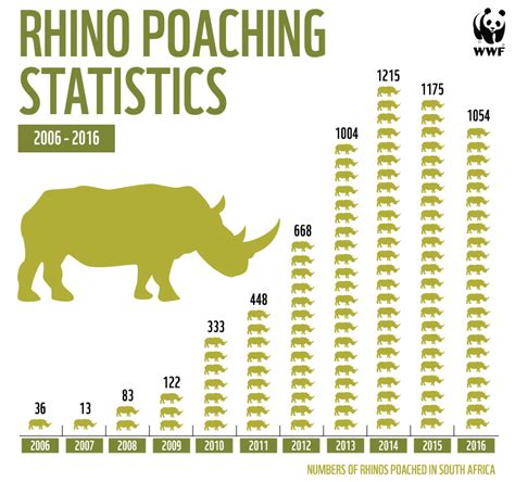 Latest official poaching figures show that South Africa is still losing ...