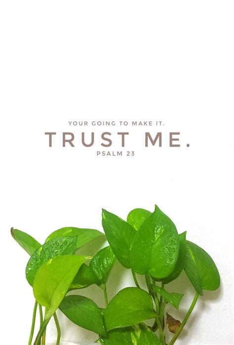 Psalm 23, Trust Me, Bible Quotes, Christianity, Plant Leaves, Plants ...