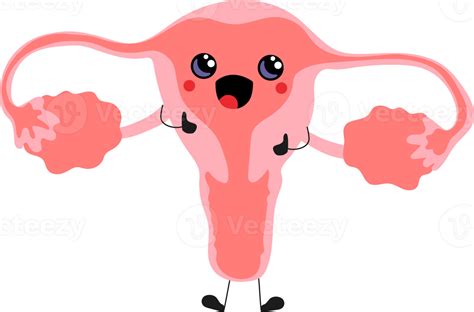 Cute kawaii funny mascot organ character female reproductive system ...