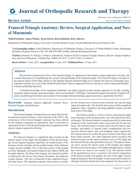 Femoral Triangle Anatomy: Review, Surgical Application, and Nov- El ...