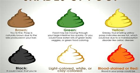 What does the color lime green mean – The Meaning Of Color