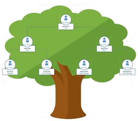 Family Tree Examples to Easily Visualize Your Family History