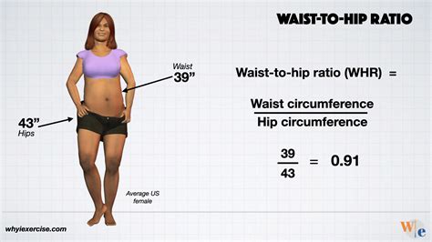 Waist-to-hip ratio: Reliable research shows if you need to lose weight