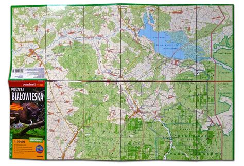 Białowieża Forest Laminated Map – Wild Poland