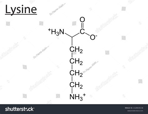 Lysine Amino Acid Chemical Structure Stock Vector (Royalty Free ...