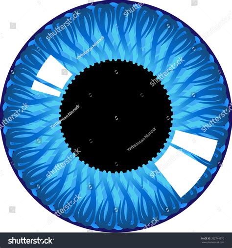 Human Eye Iris Stock Vector (Royalty Free) 352744970 | Shutterstock