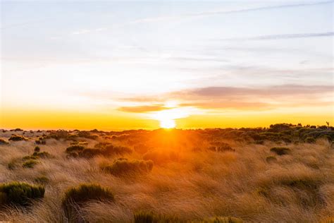 Sunlight over Savanna at Sunset · Free Stock Photo