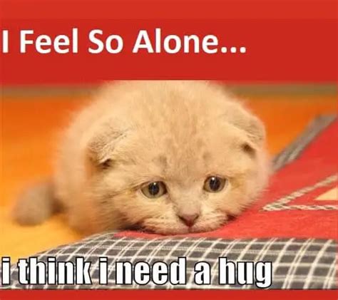 20 Need a Hug Meme to Warm You Up – SheIdeas