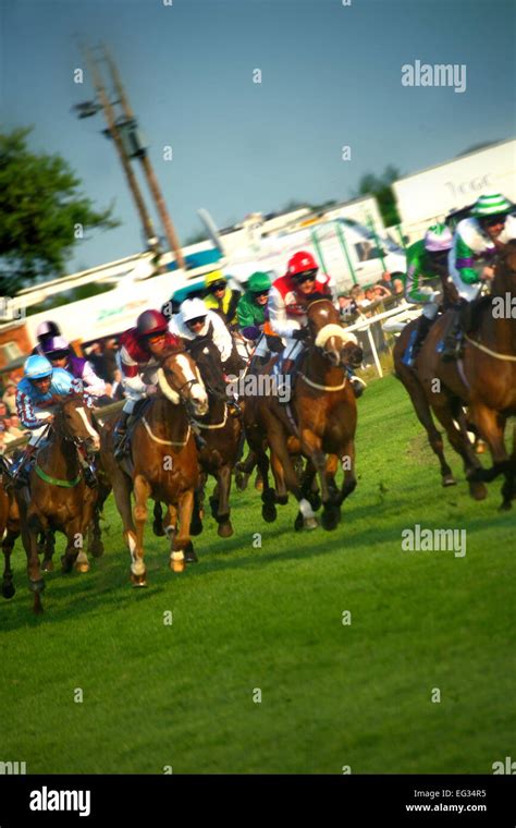 Horse racing at Catterick racecourse Stock Photo - Alamy