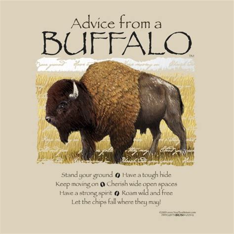 Buffalo Quotes. QuotesGram