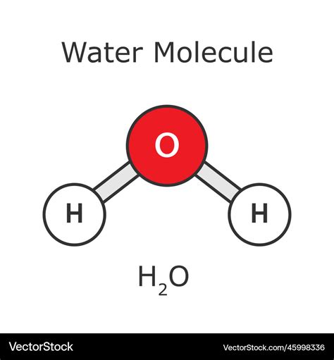 Water molecule structure atomic h2o Royalty Free Vector